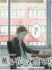 在线视频一区户外真人秀出发吧少年